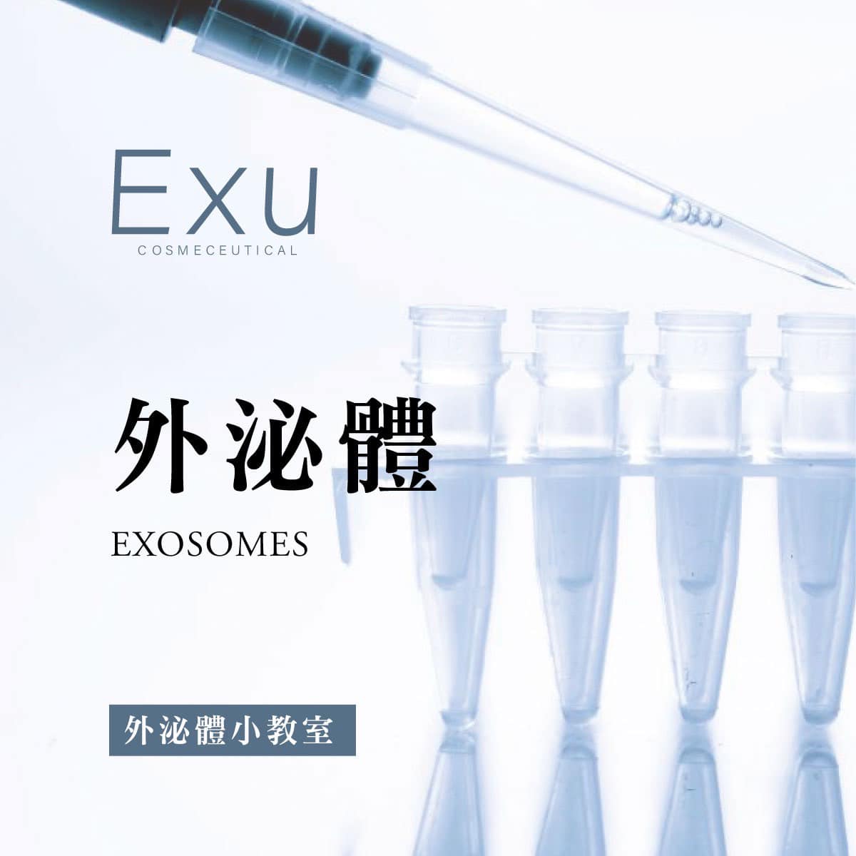 外泌體的小學堂